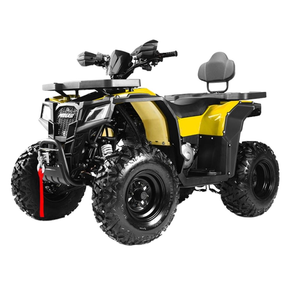 PROGASI Квадроцикл PROGASI Race Jumper 200 Max Power (мотокомплект)